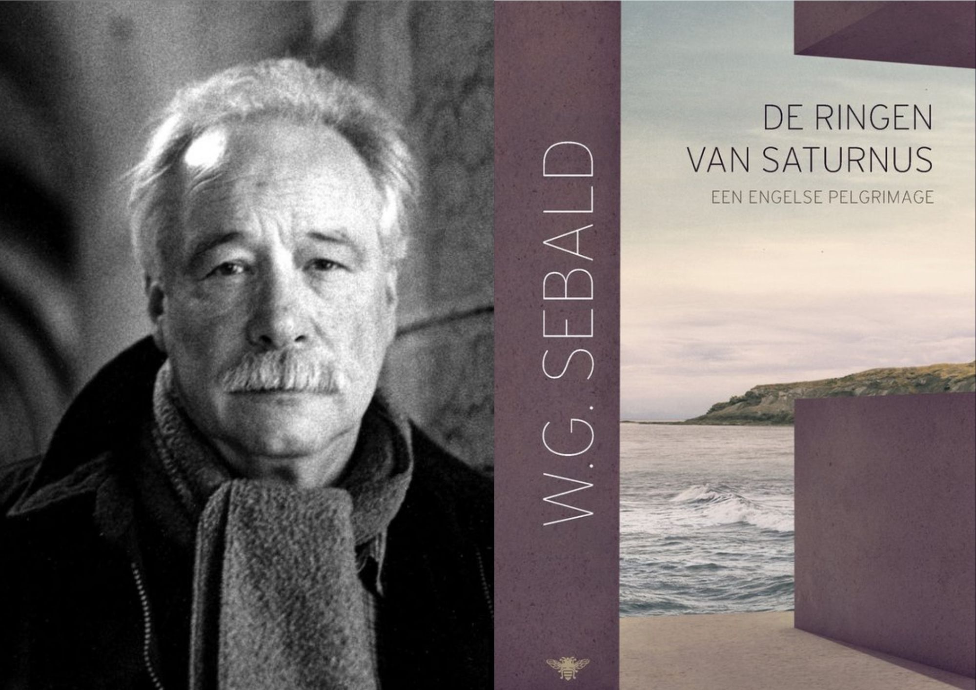 De ringen van Saturnus