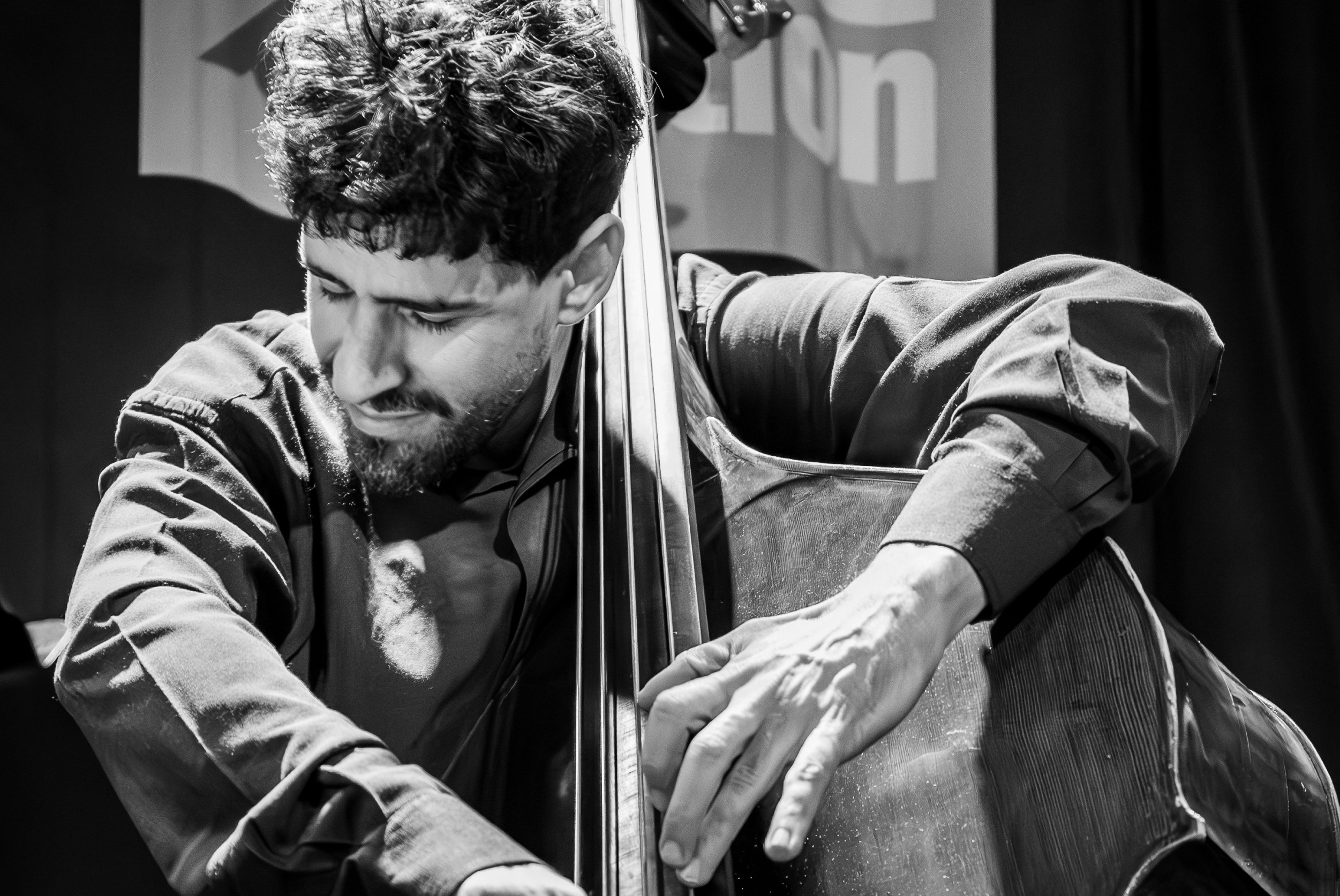 Barbastelle 'Cielo Vivo'