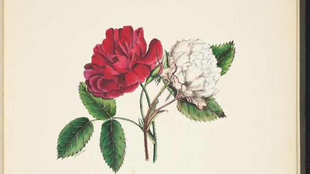 Anjers in Girauds "The Flowers of Shakespeare" (1845)
