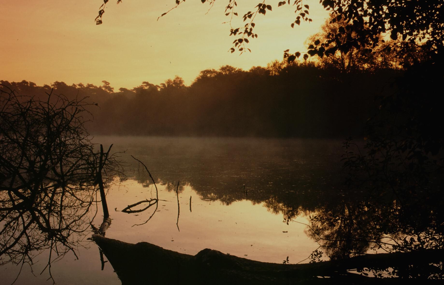 zonsopgang bij vijver in Het Leen