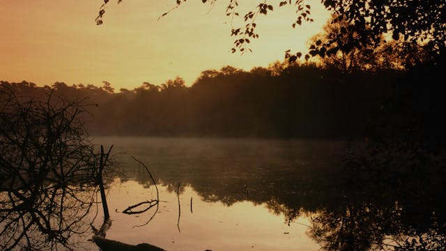 zonsopgang bij vijver in Het Leen