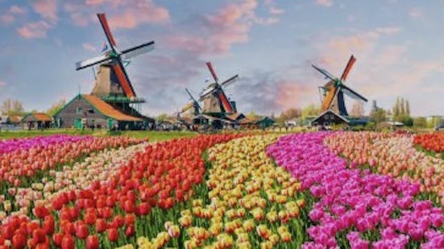 Image for gzbd activity