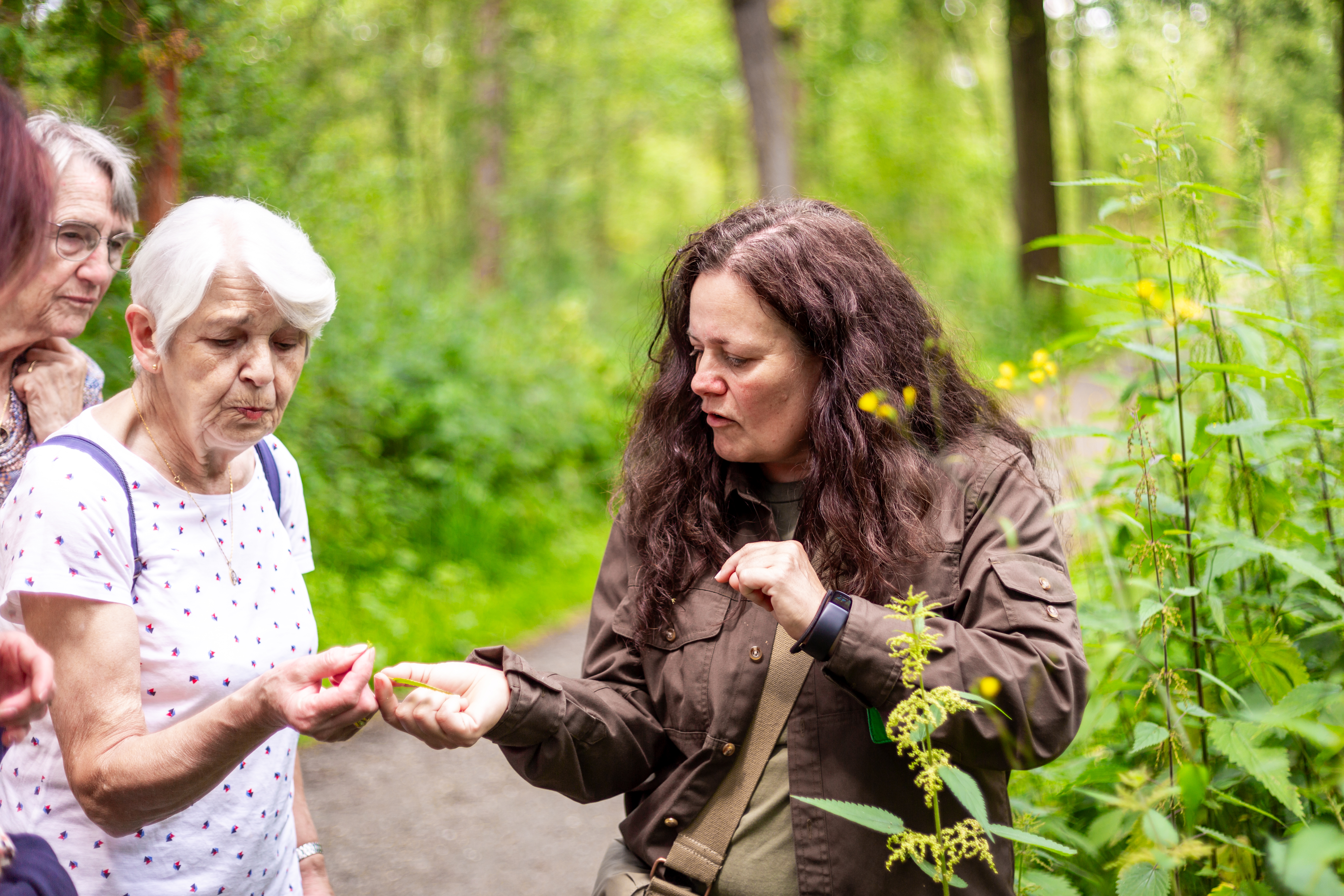 Domeinwachter plukt een kruid zodat een wandelaar kan proeven