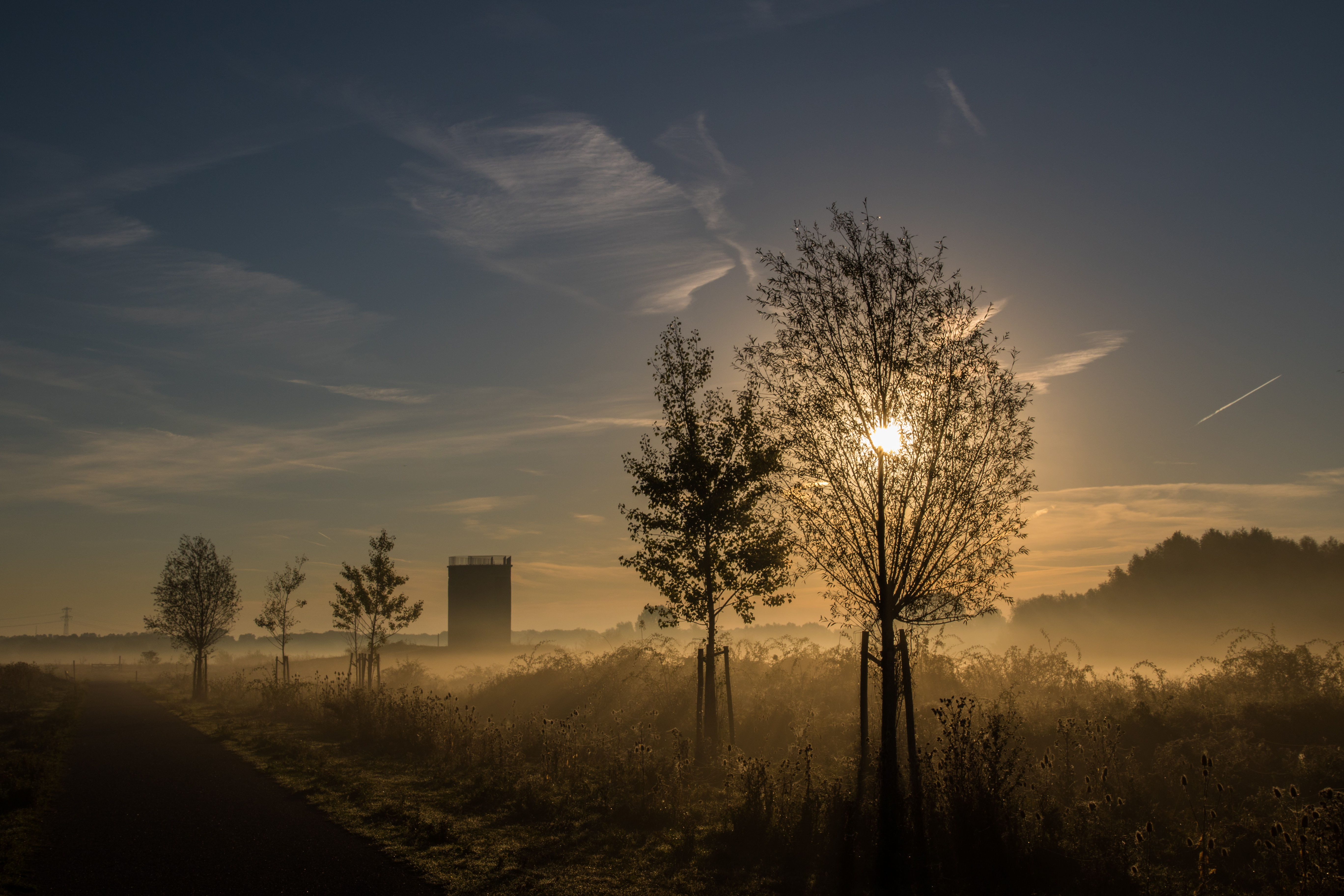 Limburgs Landschap Negenoord