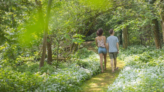 Dendermonde vol verhalen