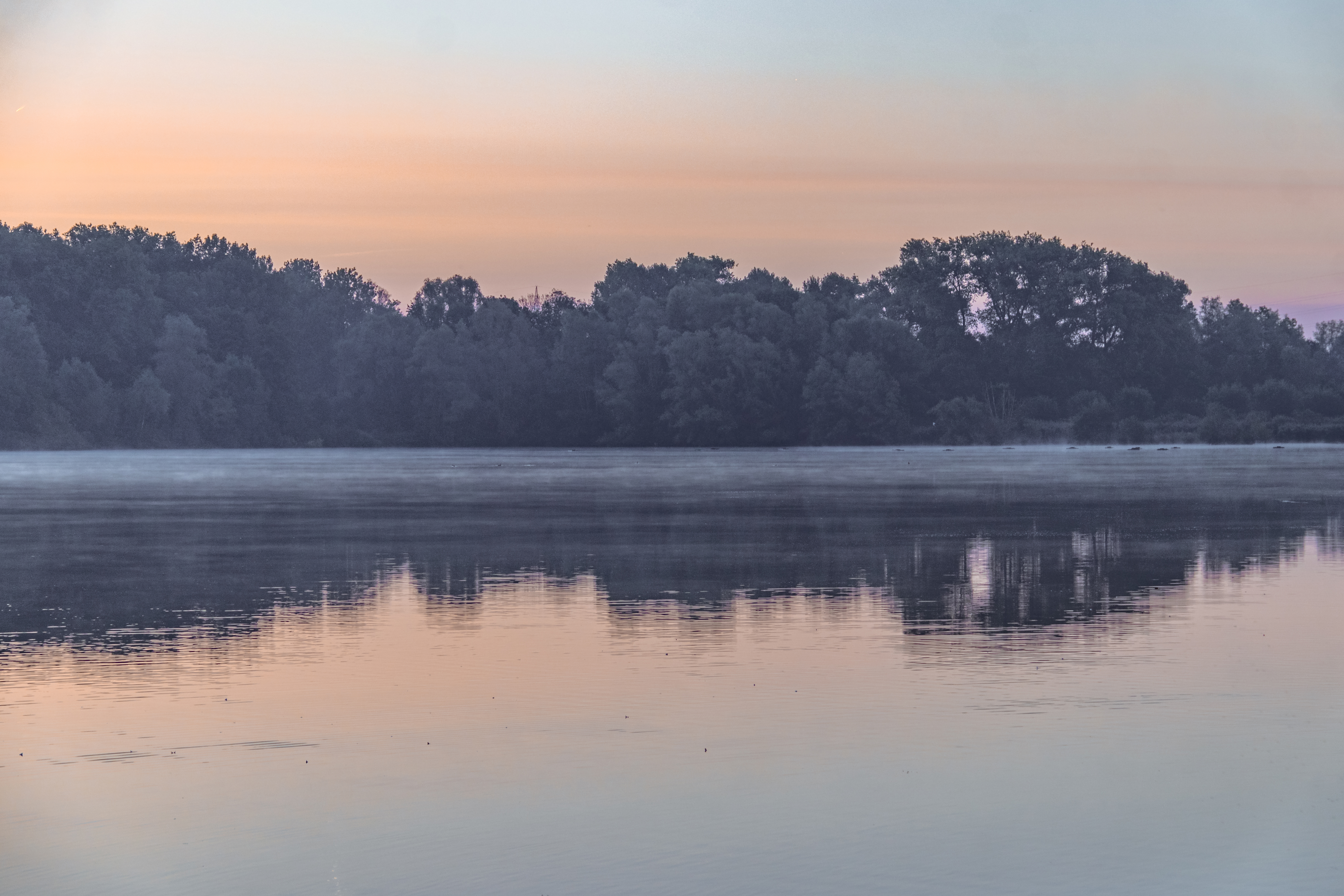 damvallei damvalleimeer