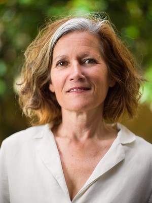 Paarse Zetel in de Krook | Bibi Dumon Tak