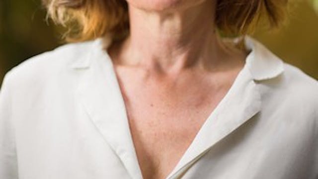 Paarse Zetel in de Krook | Bibi Dumon Tak