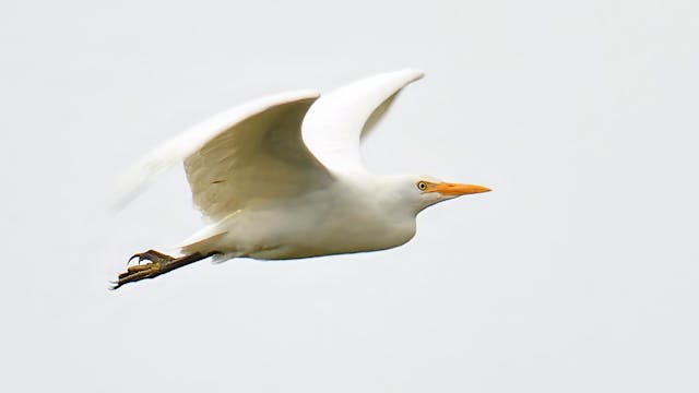 Natuurpunt