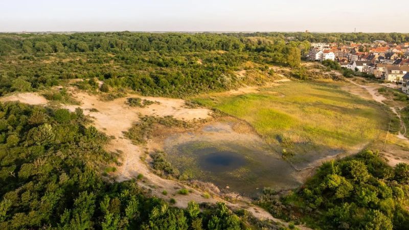 Duinexploratie in Houtsaeger.jpg