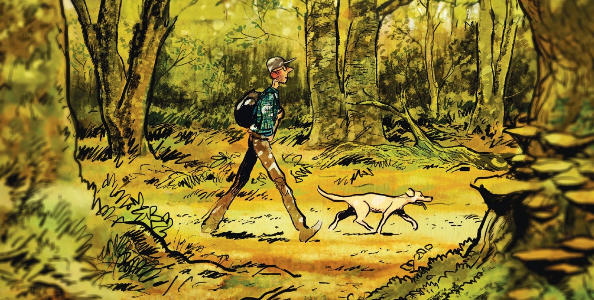 campagnebeeld van de wandeling 'Het verborgen leven van bomen'