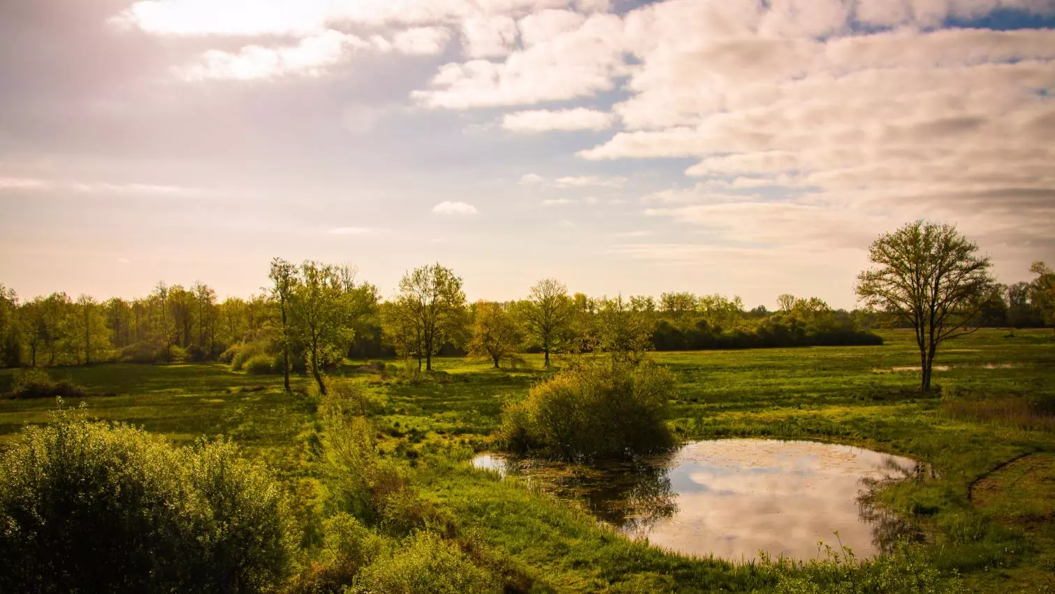 Afbeelding voor evenement Themaroute: Bierwandeling in Testelt
