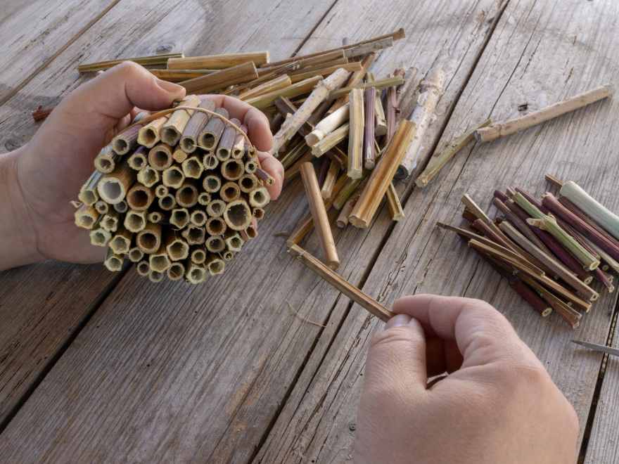 Image for gzbd activity