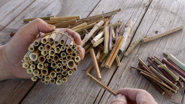 Image for gzbd activity