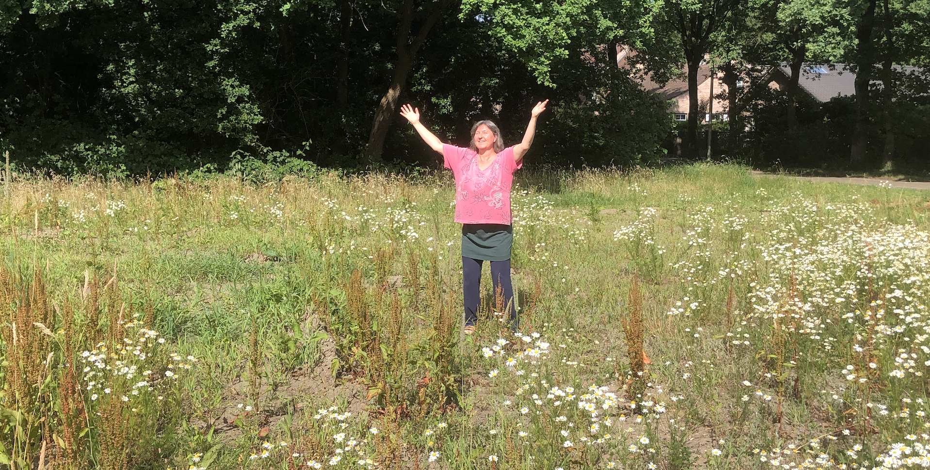 qigong in uitvoering
