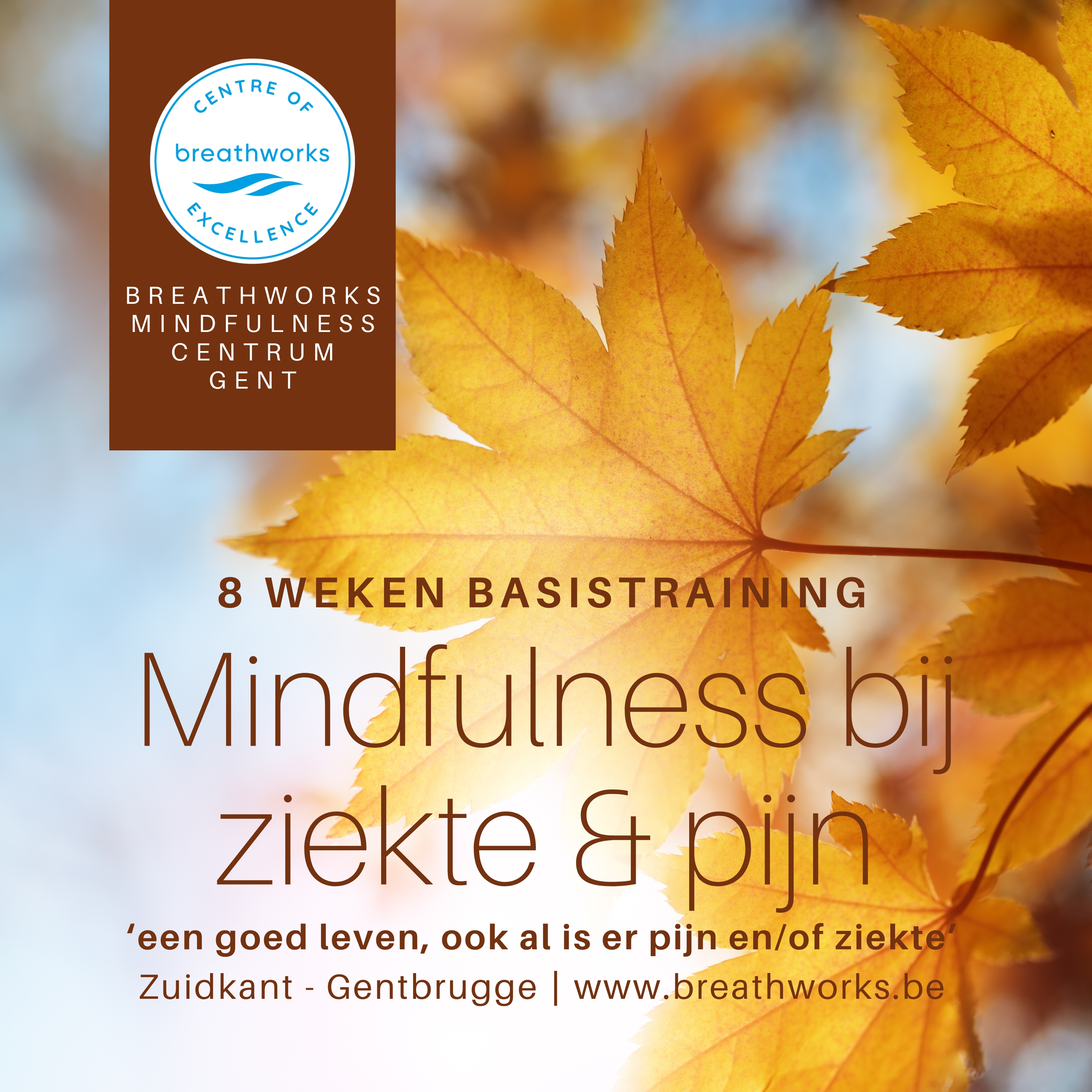mindfulness bij ziekte en pijn