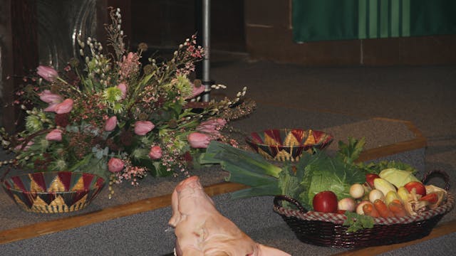 Sint-Antoniusfeest_2023-2