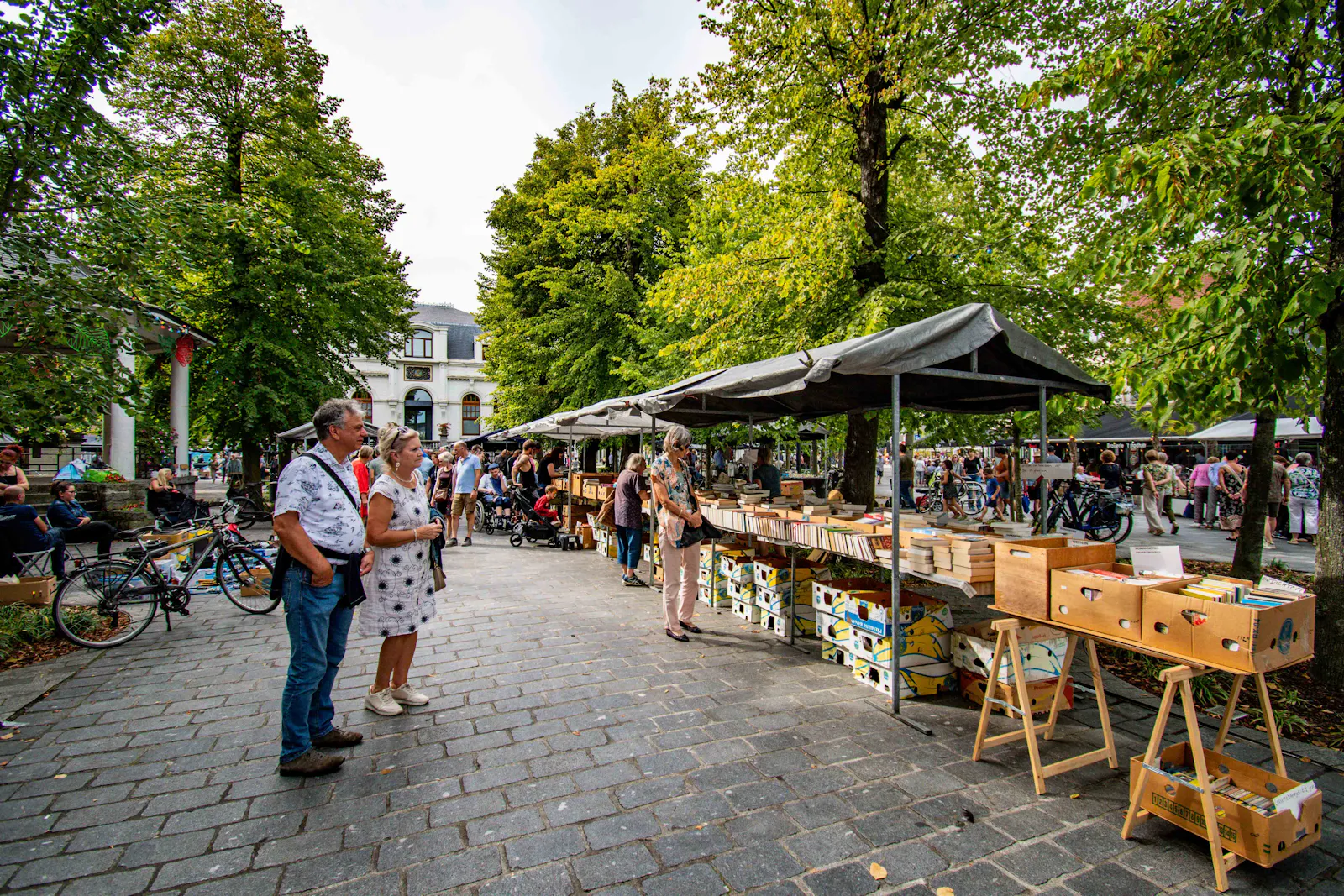 Teutenmarkt (Lommelse rommelmarkt)