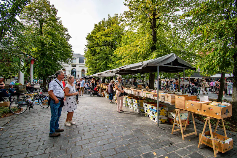 Teutenmarkt (Lommelse rommelmarkt)