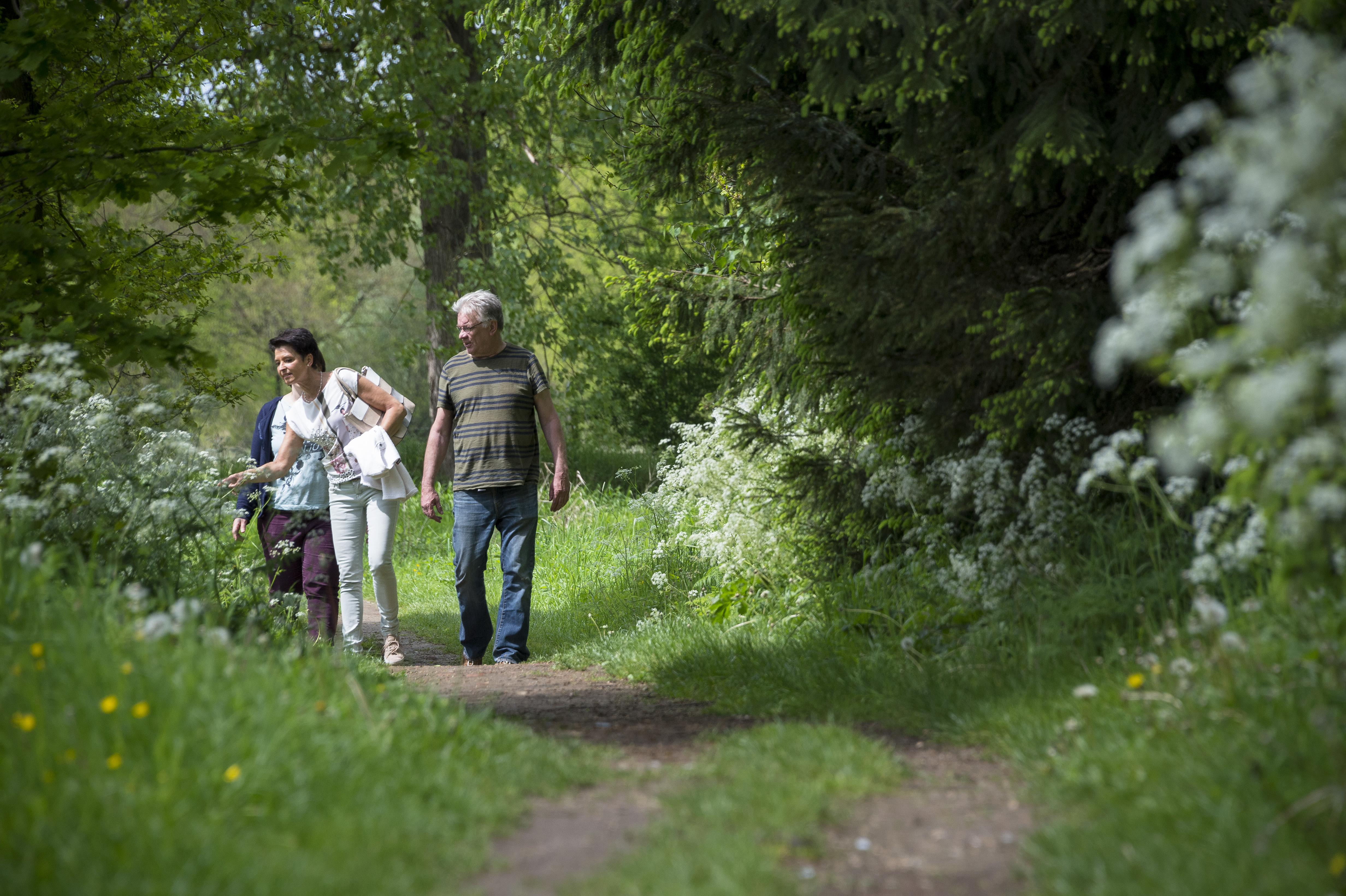 Vijverbeekwandeling Tremelo