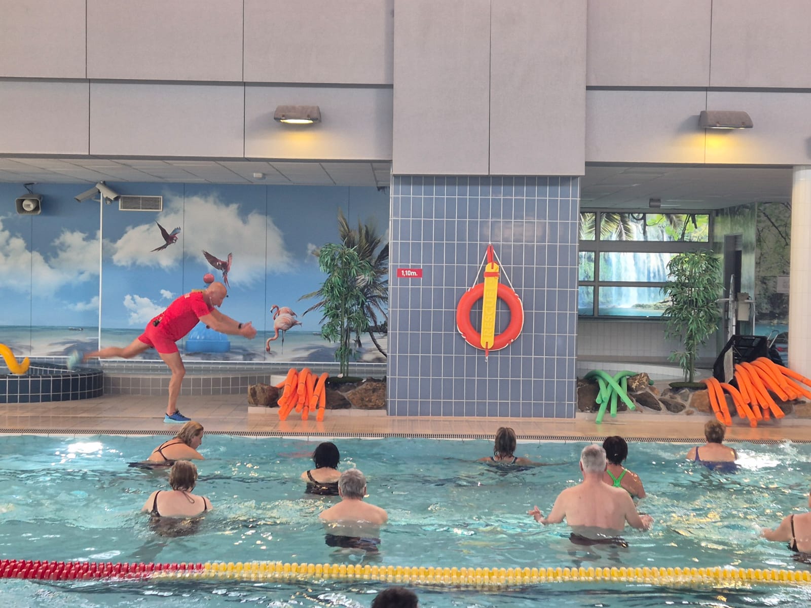 Aquagym in domein De Gavers in Geraardsbergen