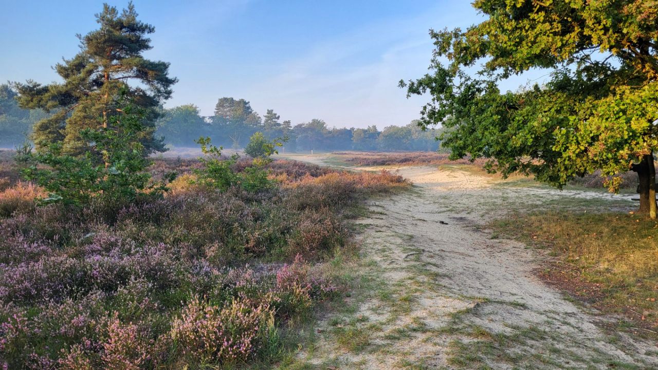 Kesselse Heide