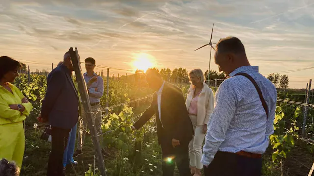 Rondleiding op wijngaard