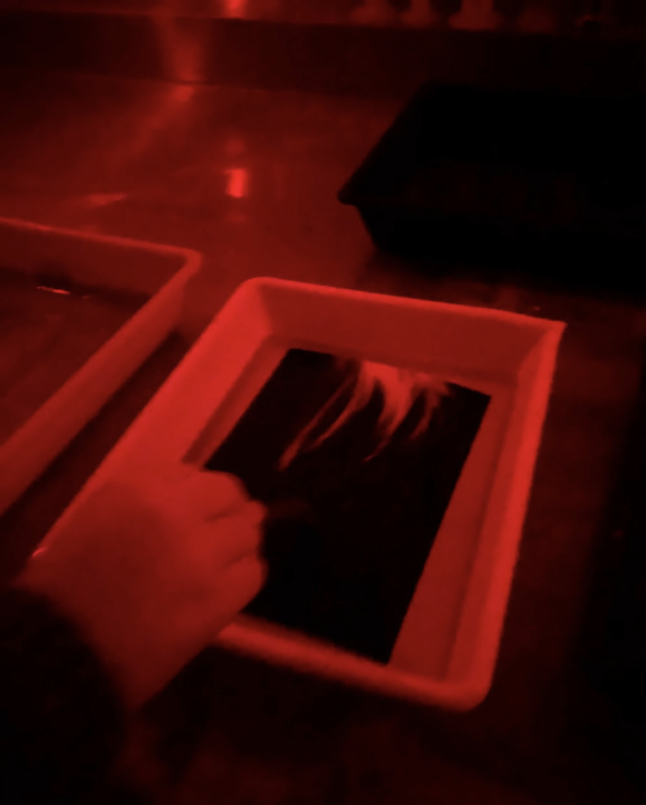 Foto in DOKA ( Donkere kamer)