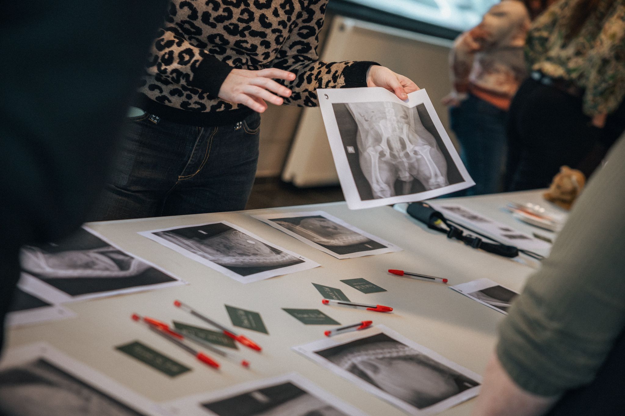 Image for gzbd activity