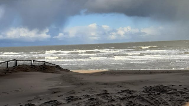 Natuurpunt