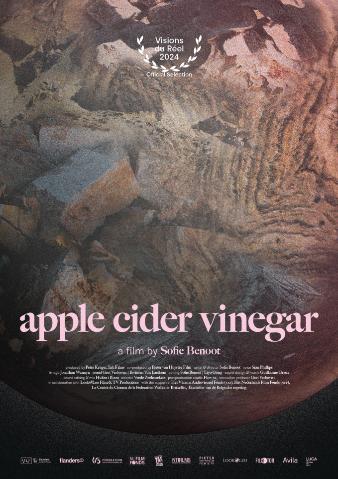 appleciderviniger