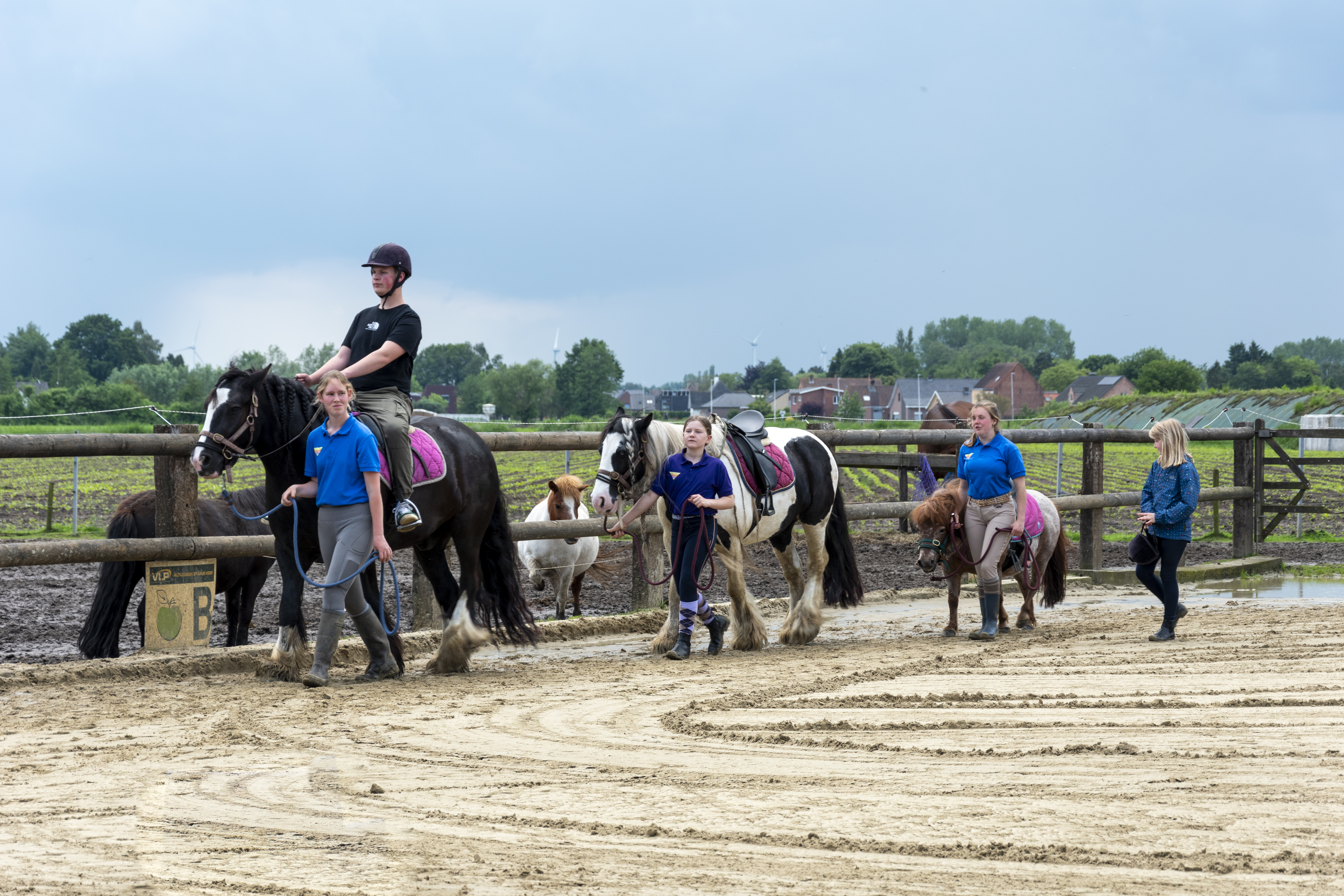 Samen met paarden ontdekken we onze talenten en valkuilen. We leren onszelf kennen en leren met onszelf om te gaan. 