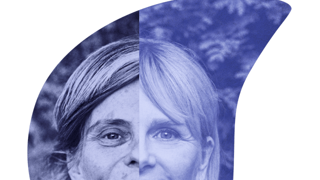 Ode aan de Verwondering van Caroline Pauwels