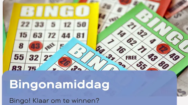 Bingonamiddag