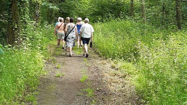 Wandeling