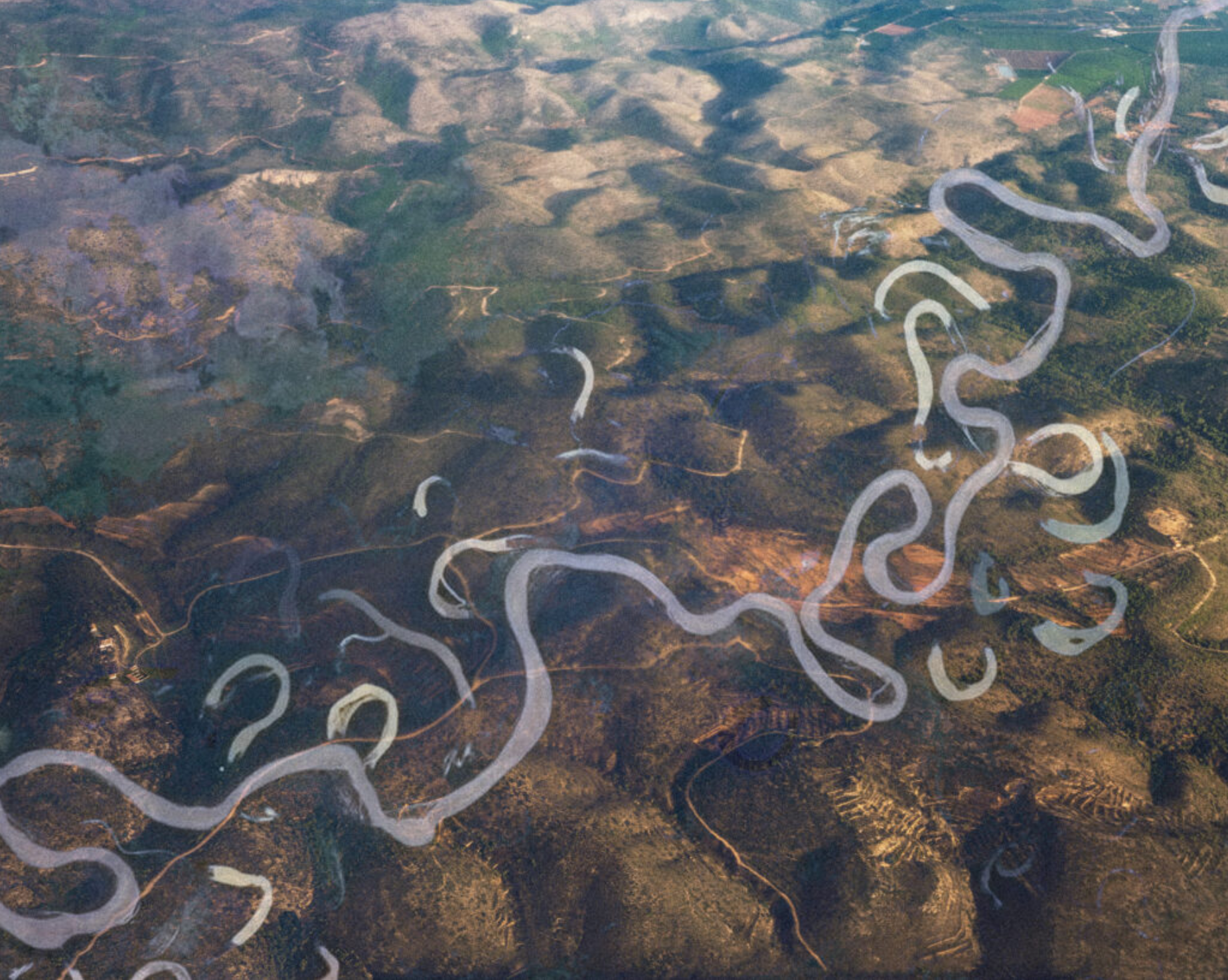 Karakter boeklaunch: Onvertaalbaar, een ode aan meertaligheid - Lisette Ma Neza