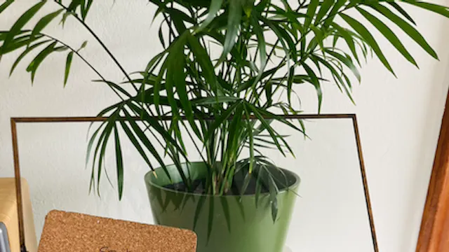 fimo sculpey polymeer klei workshop