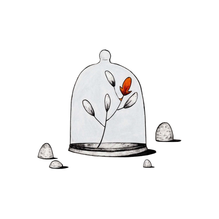 Psychisch kwetsbaar, Sterk in Beeld.