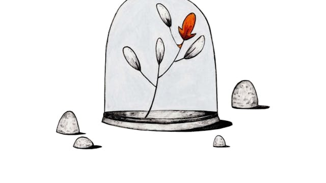 Psychisch kwetsbaar, Sterk in Beeld.