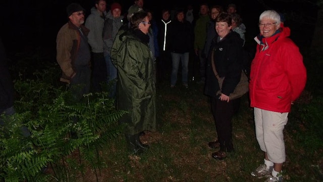 Midzomernachtwandeling Heidebos Parking 2