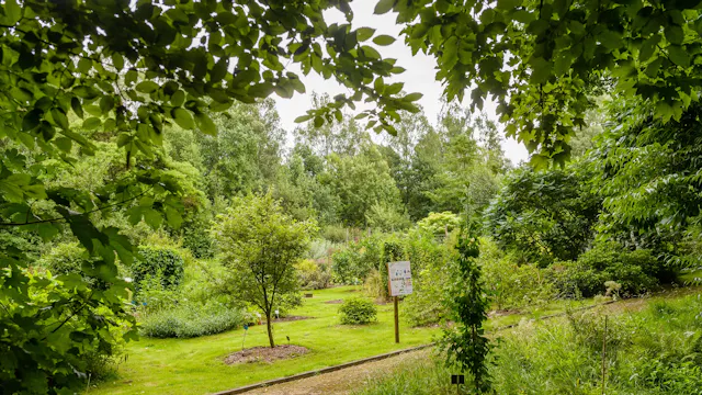 Botanische tuin Jean Massart