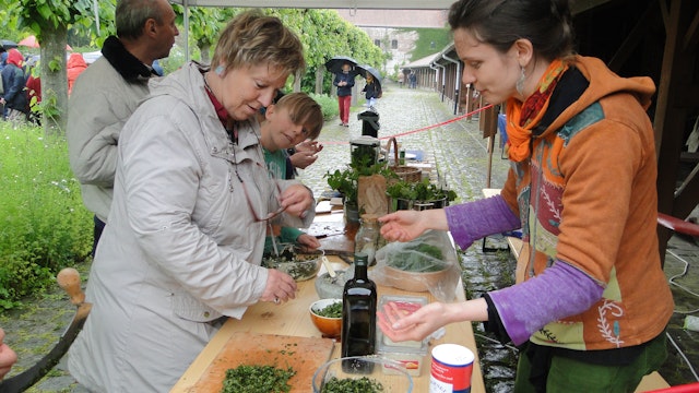 Kruidenworkshop: kruideninfusies voor de winter