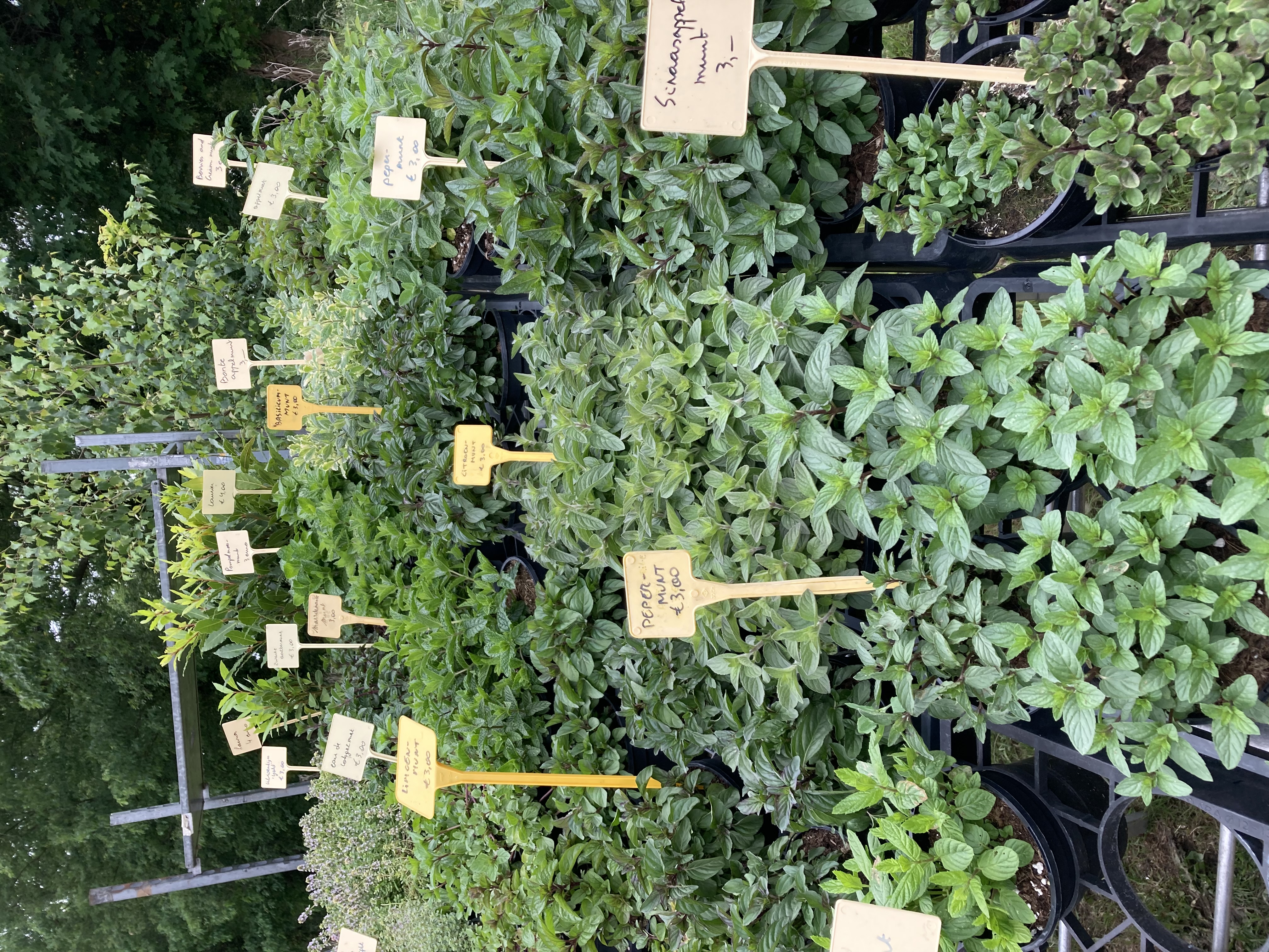 Kruidenmarkt Herkenrode