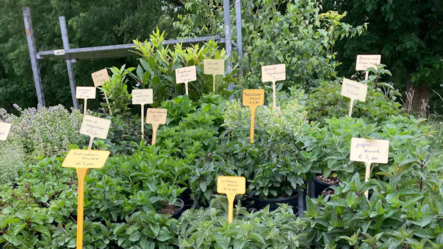 Kruidenmarkt Herkenrode