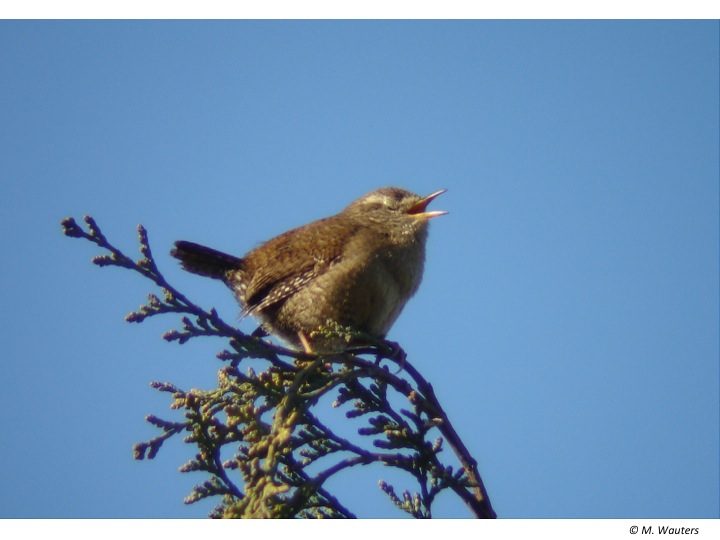 Rondleiding in het frans