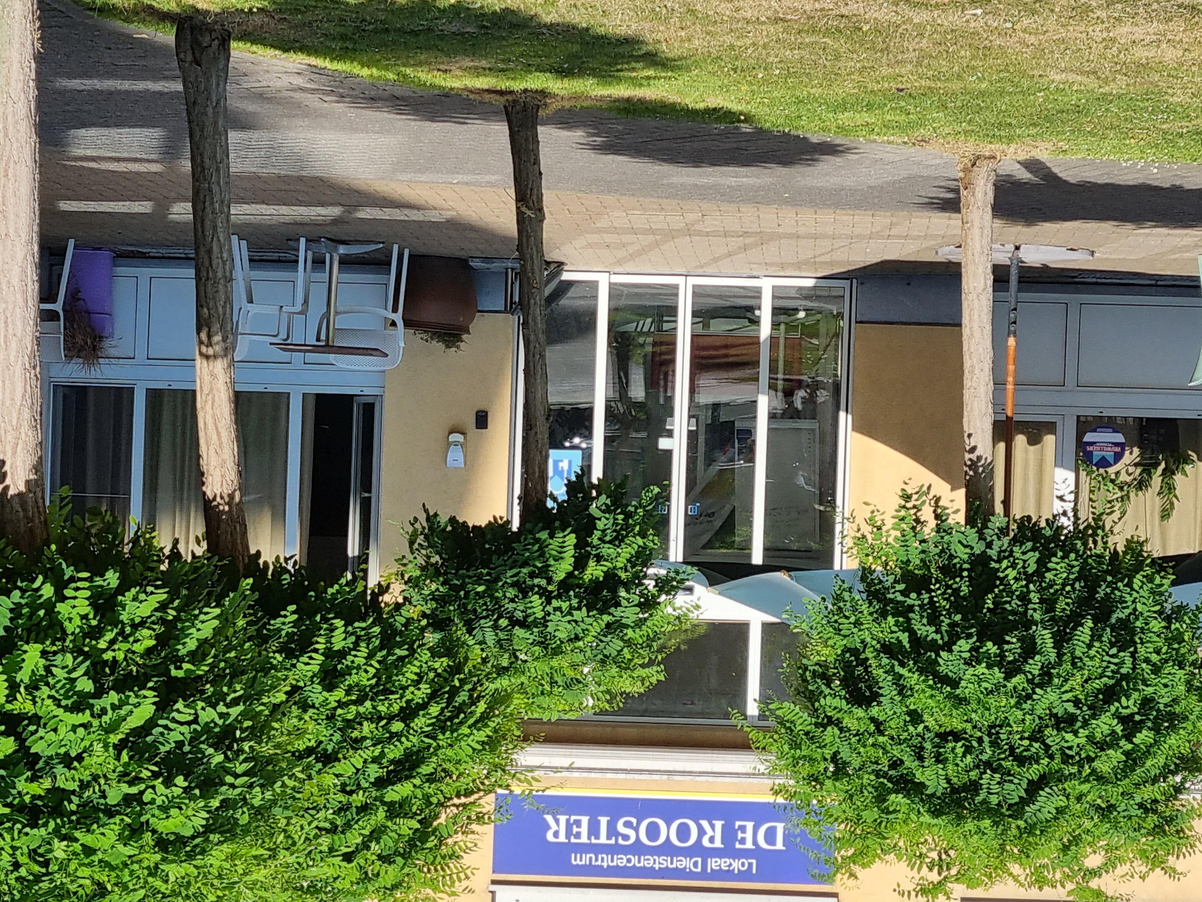 Idc De Rooster in Het Hof van Egmont