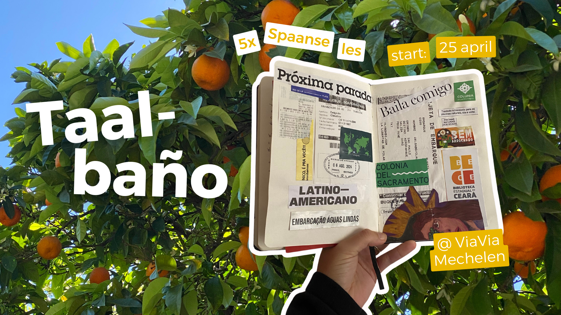 Boekje, appelsienboom