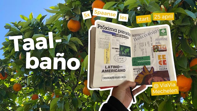 Boekje, appelsienboom