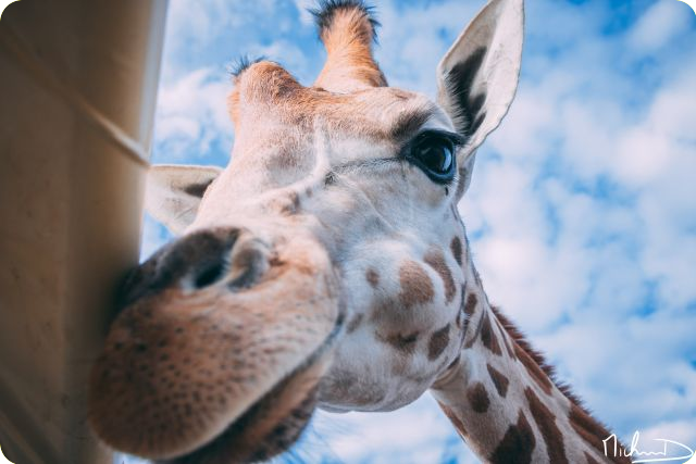 Activak jeugdvakanties – Pakawi kamp
