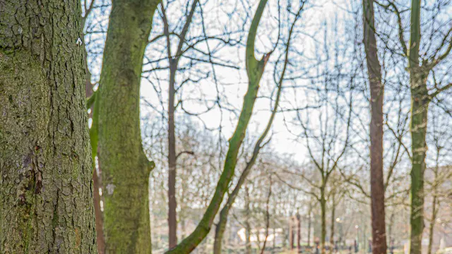 Buiten spelen met media